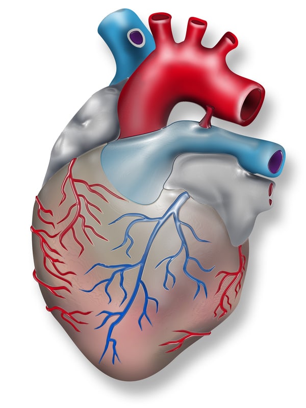 Logo coeur